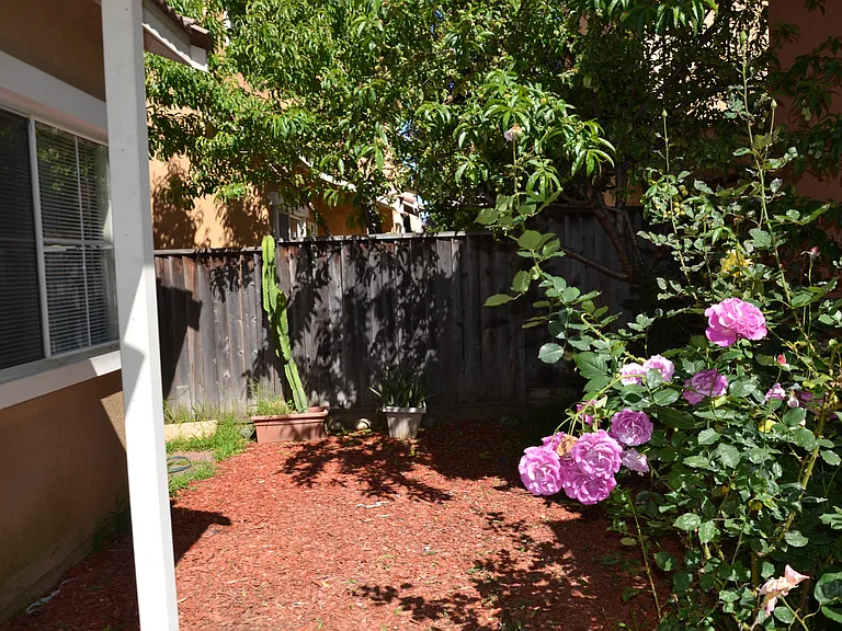 1059 La Sierra Ter — Photo 18
