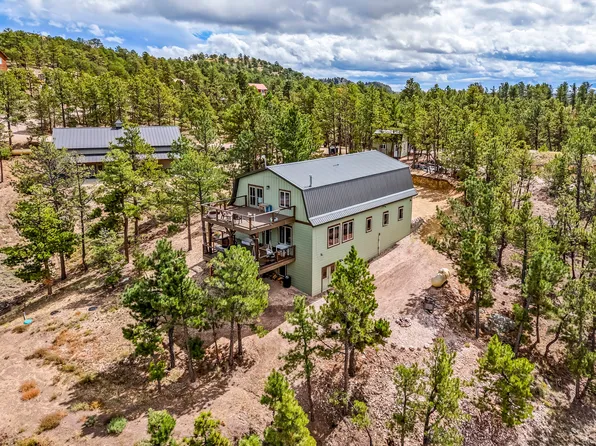 11 Bassick Cir, Westcliffe, CO 81252