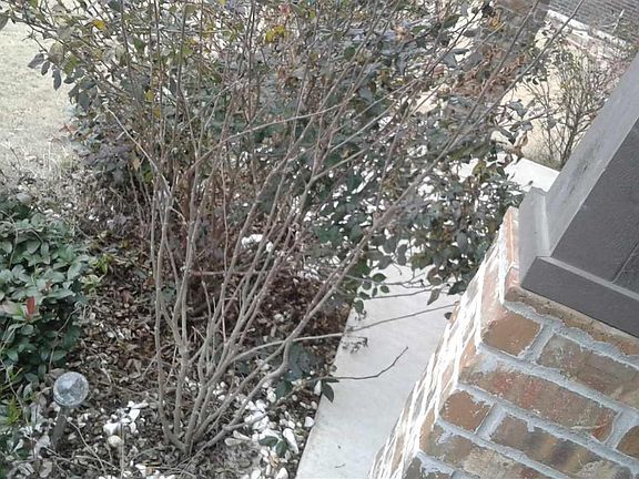 5th image of 5416 Trammel Estates Dr
