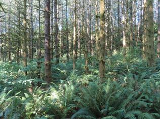 State Highway 4 #7, Grays River, WA 98621