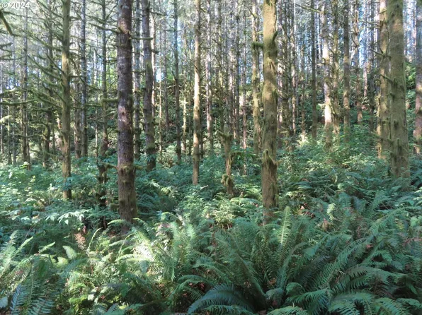 State Highway 4 #7, Grays River, WA 98621