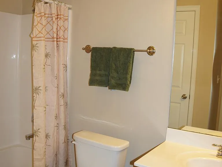 Hall bathroom