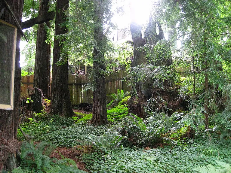 Redwood Ave — Photo 1