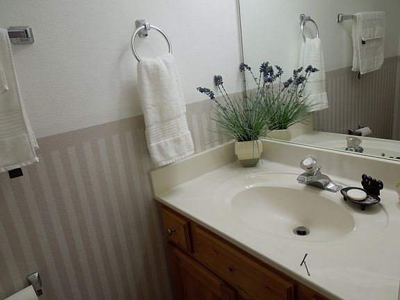 Downstairs bathroom