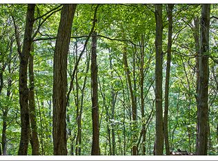 Brown's Ridge Rd, Lerona, WV 25971