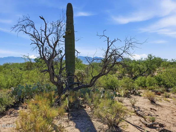 12680 N Caminito Al Sol, Tucson, AZ 85755