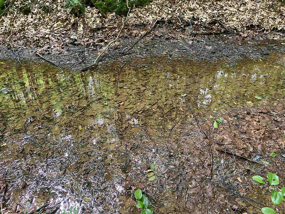 22nd image of this home