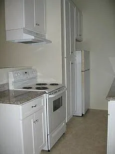 234 Miller Ave #C — Photo 6