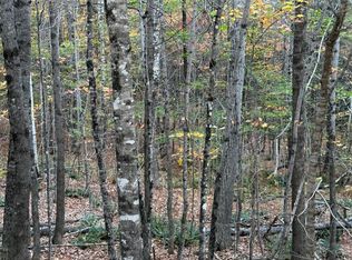 4.5 Sunrise Ln, Bingham, ME 04920
