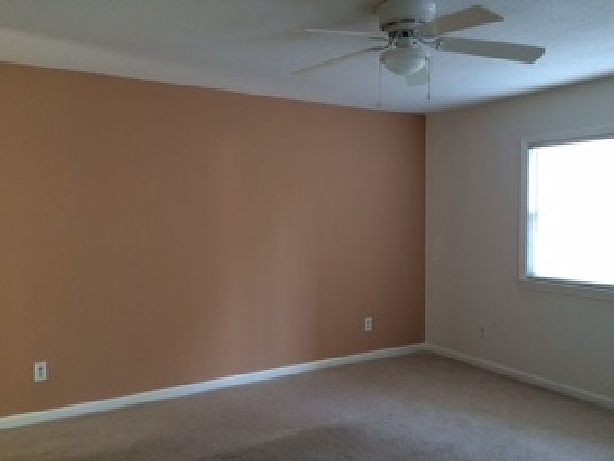 Sheer Pout accent wall color option