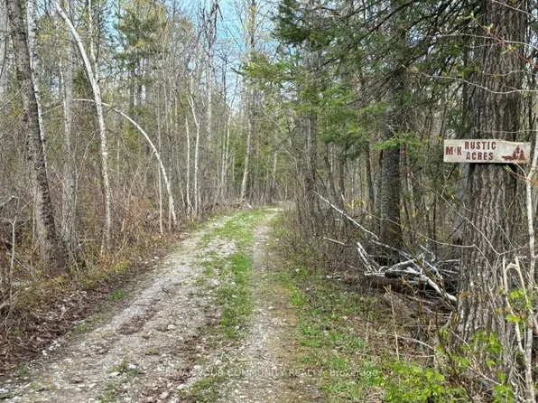 92 Bessie Ave N, Trent Lakes, ON K0M 1A0