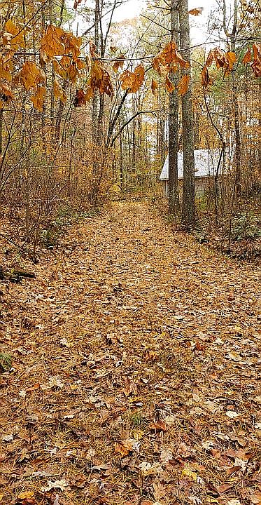 1st image of 2757 Hwy 282 Parcel 0108 023