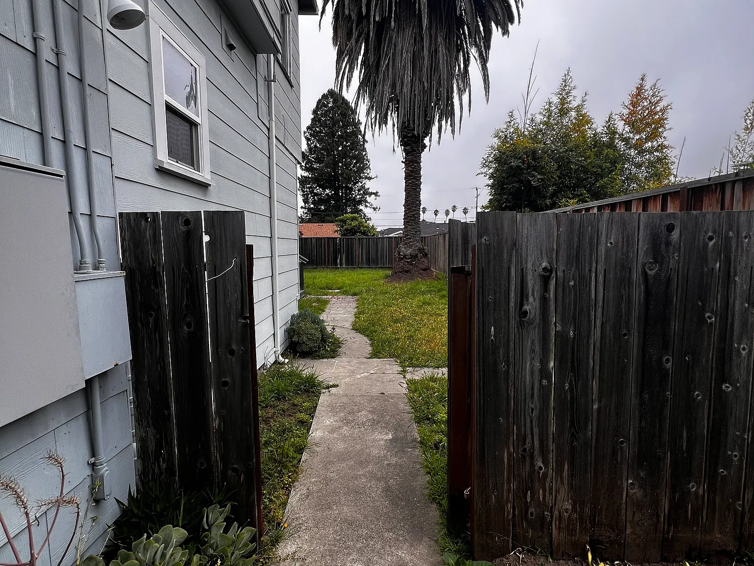 1 bed, 485 sqft, $2,695 — Photo 3