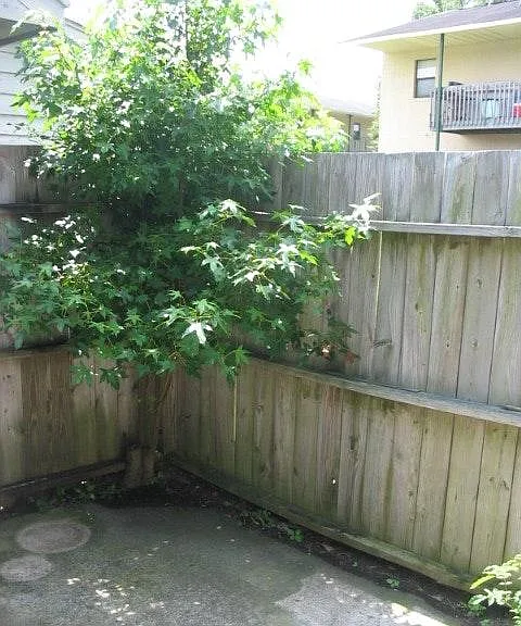 237 Wyndham Cir — Photo 9