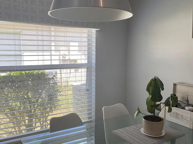 Forest Island Dr — Photo 6