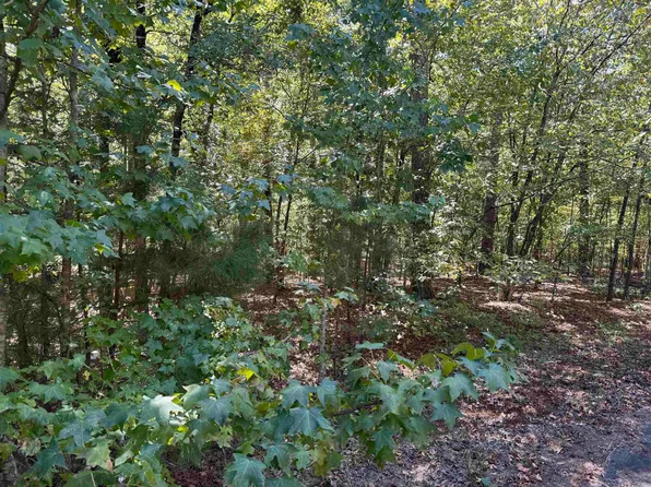 5 Ballobar Cir, Hot Springs Village, AR 71909