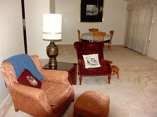 Cathedral Ceiling Living & Dining