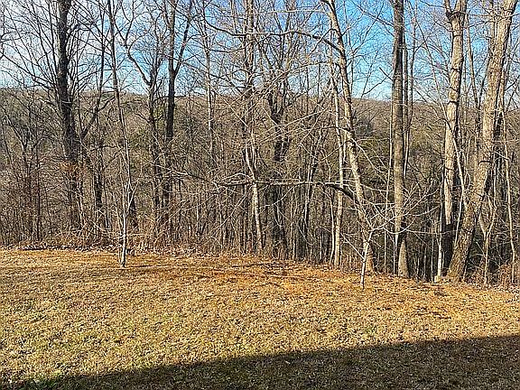5th image of 128 Sumler Ln