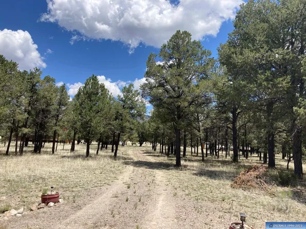 200 El Caso Rd, Quemado, NM 87829