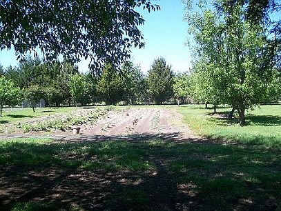 2nd image of 801 Cedar Creek Cir