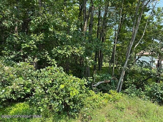2nd image of Panther Run Rd