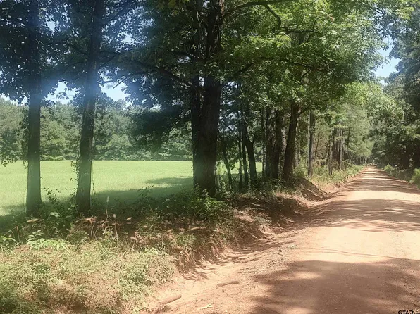 381 County Road 4688, Gary, TX 75643