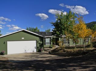 294 Saddlestring Rd, Bailey, CO 80421
