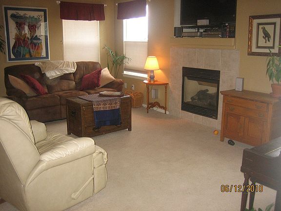 Family Room and Fireplace