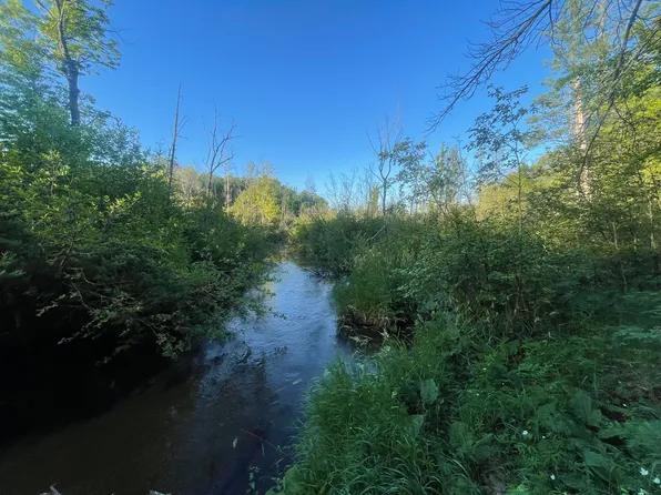 V/l 2a Strathford Rd, Baldwin, MI 49304