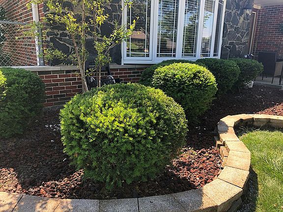 4th image of 8121 Farmingdale Dr