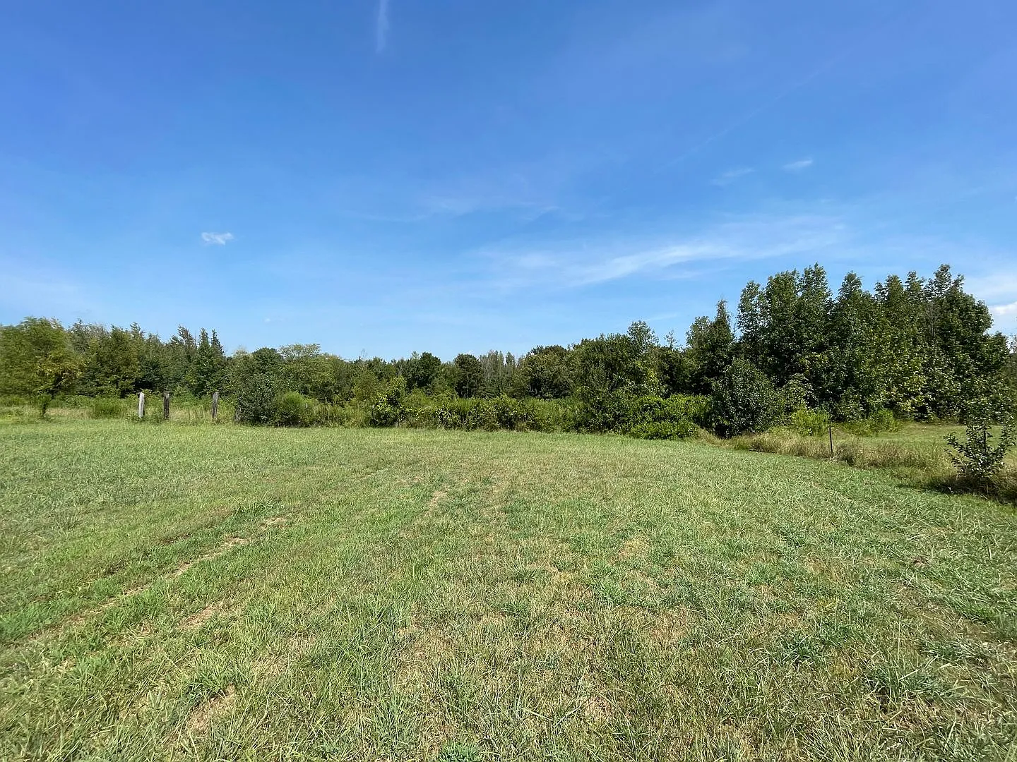 A Deer Hunter's Dream With Expansive 10.41-Acre Lot - With 3 Beds/ 2bath Available Now — Photo 4