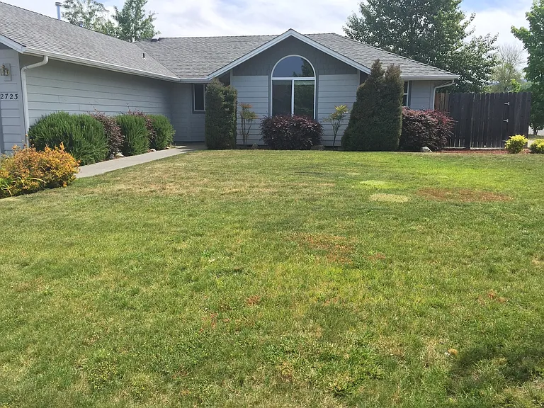 2723 Esther Ln — Photo 2