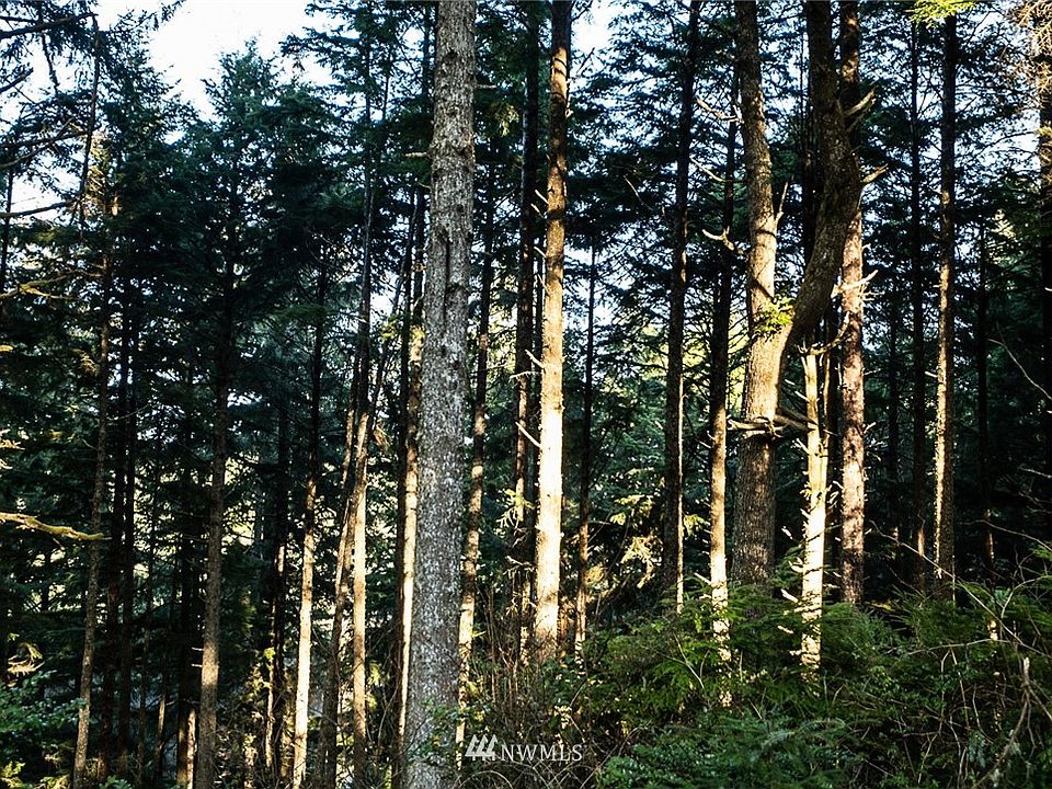 9 Sprucewood Lane Lot 9, Copalis Beach, WA 98535 Zillow