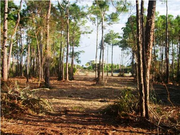 4th image of 1547 E Gulf Beach Dr