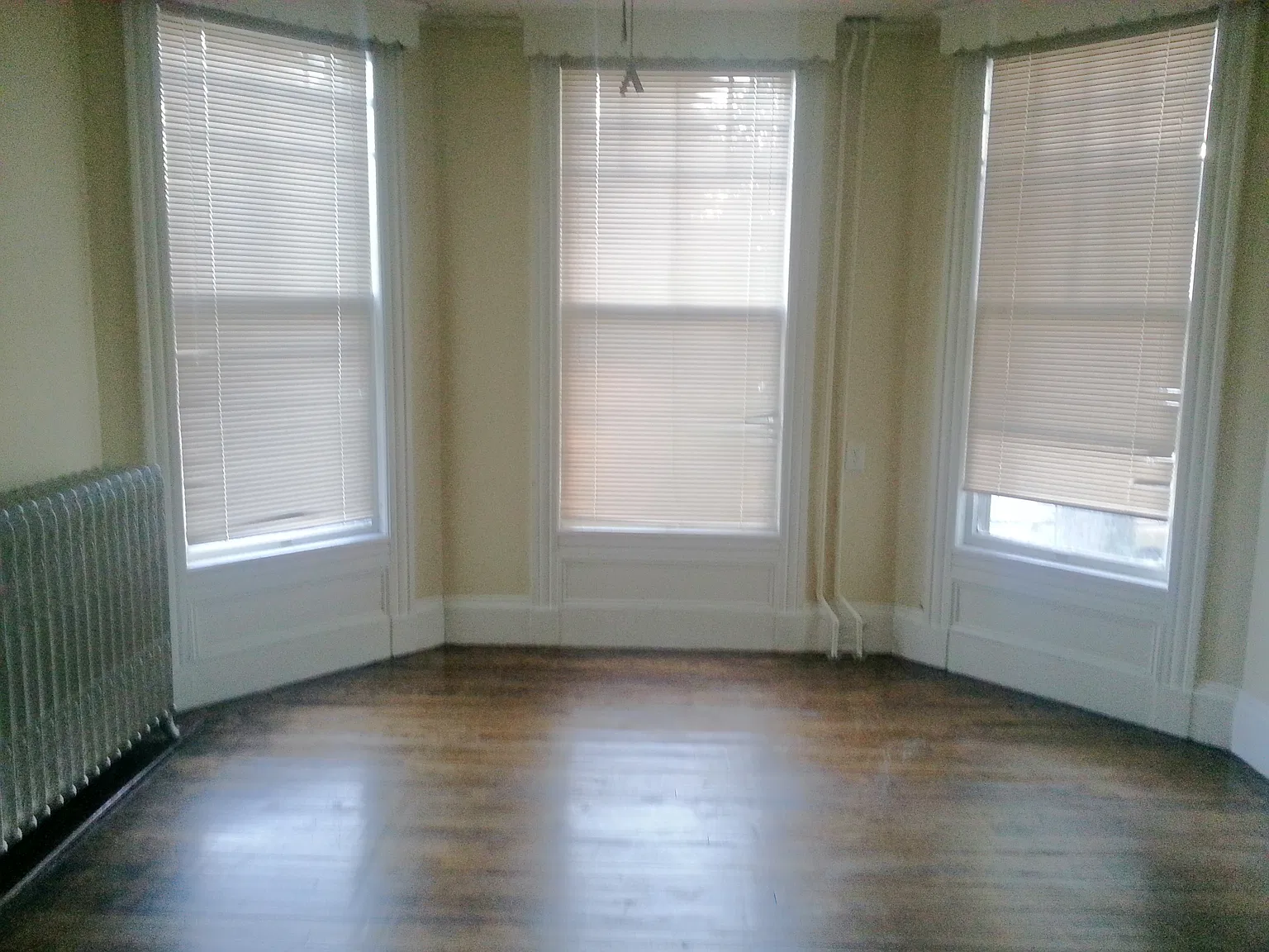 1 bed, 450 sqft, $1,500 — Photo 1