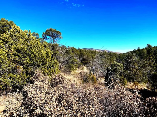 Ruby Dr, Timberon, NM 88350