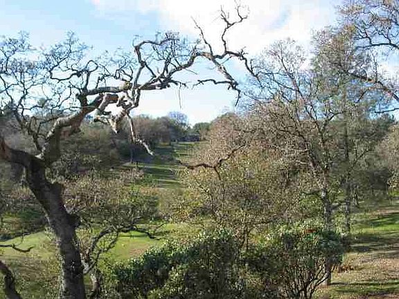Backyard view of golf course.
