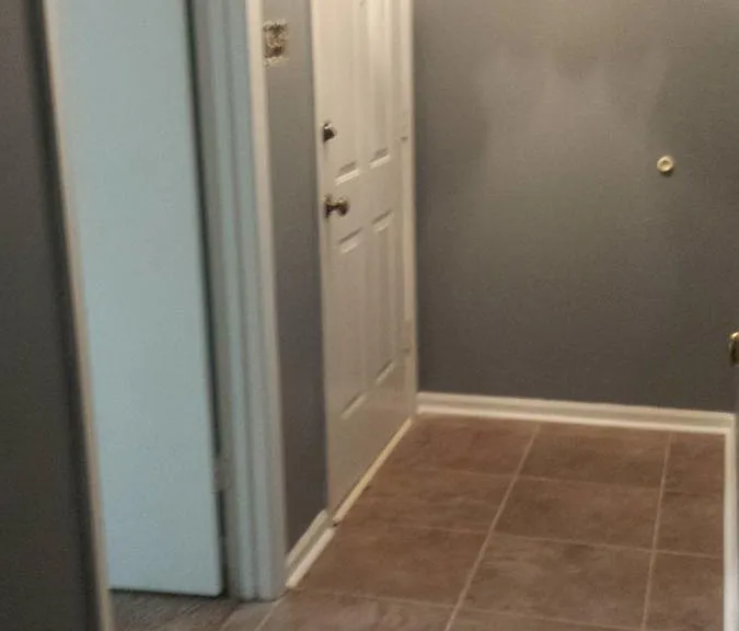 Hall / Front Door
