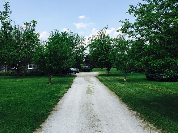 Appletree lined gravel drive