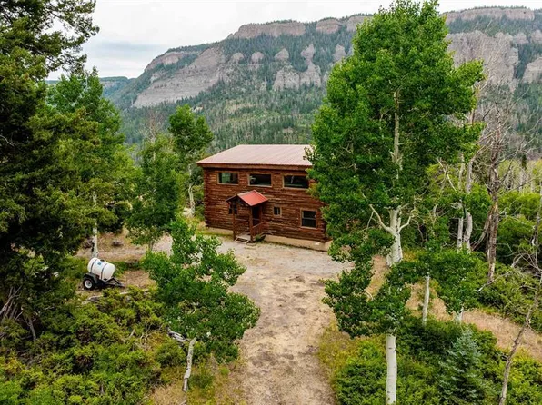 8009 CR 864, Cimarron, CO 81220