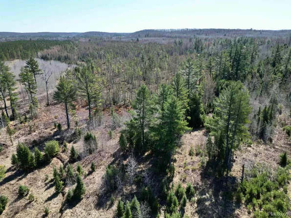 Off Cr Cp #577, Vulcan, MI 49892