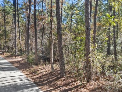 3 Lacer Way, Currie, NC, 28435