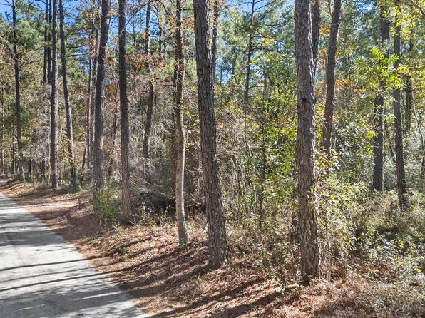 3 Lacer Way, Currie, NC 28435