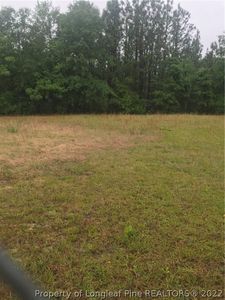 Rainbow Ct, Spring Lake, NC, 28390