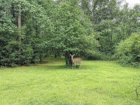 3rd image of 65378 Baytown Hills Rd