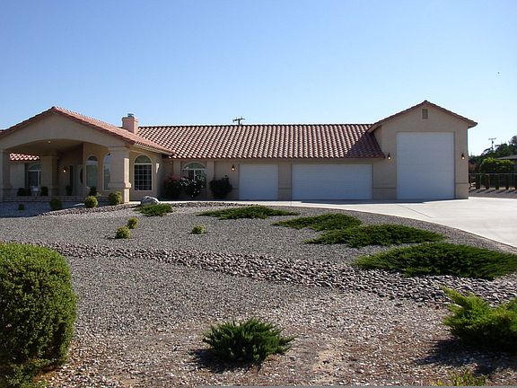 Low maintenance yard