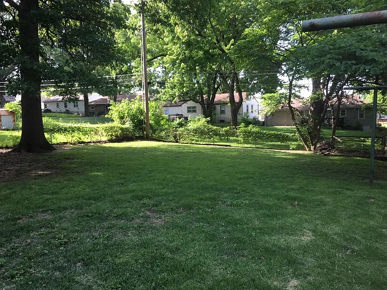 Large Backyard