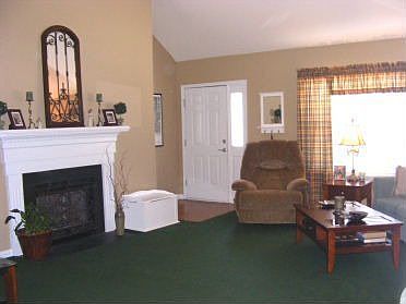 living room fireplace 