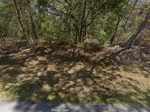 Fisher Run Ter Lot 8, Ocklawaha, FL 32179