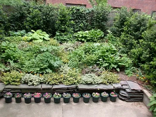 Rented by Michael Minick LLC | media 18